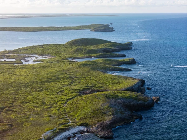 The Family Islands: No Risk, No Reward