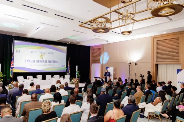 Consultant for Continued Implementation & Growth of the Incubator & Accelerator Programmes