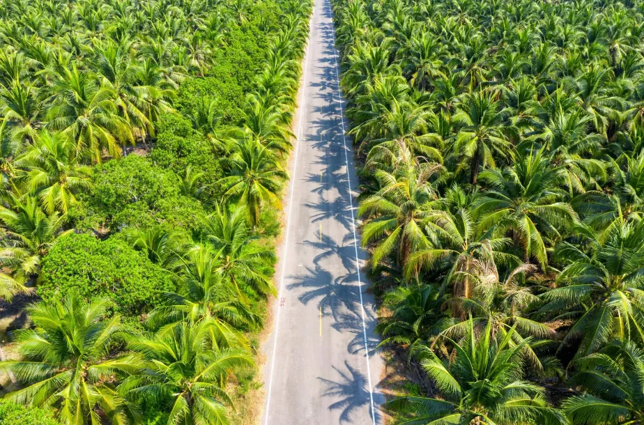 Agriculture and Fisheries